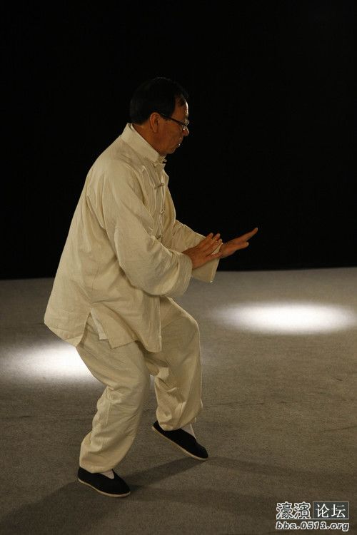 陈氏太极新探--------张志俊