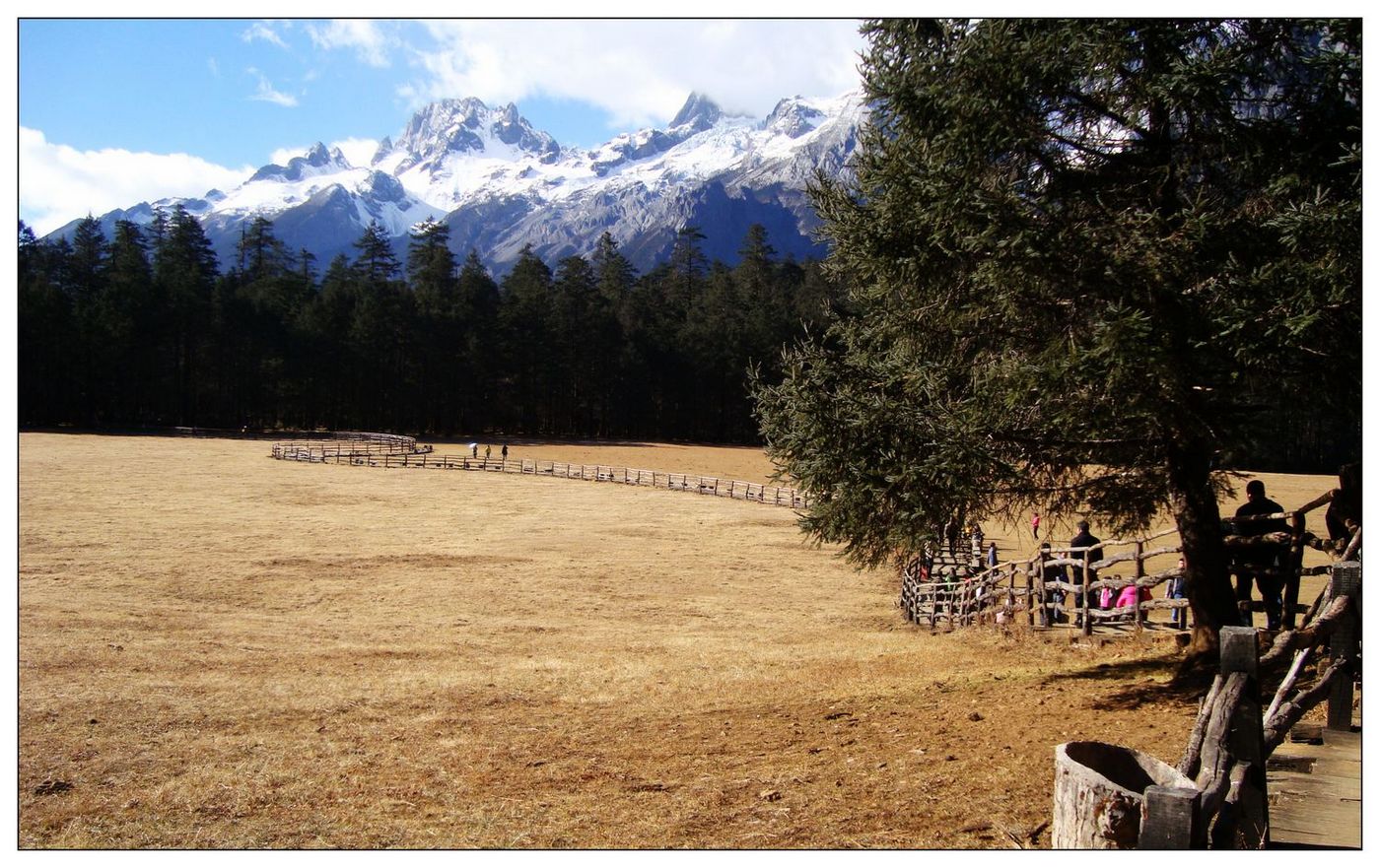玉龙雪山牦牛坪