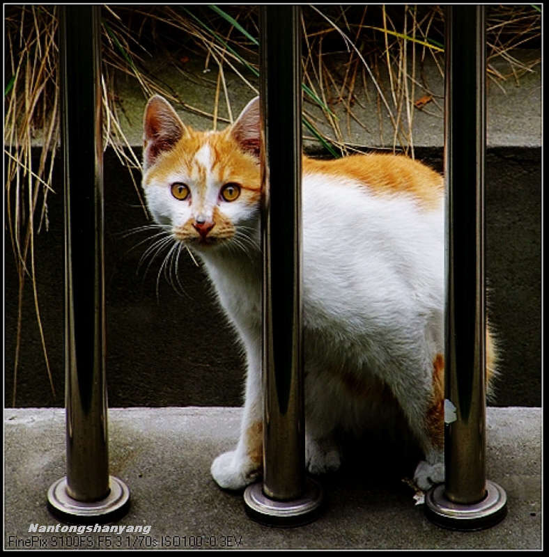 哦！你在拍照我俩啊！ 