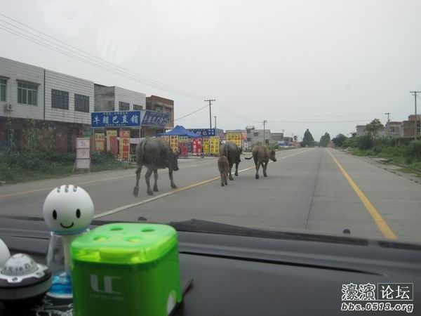 调整大小 照片 021.jpg