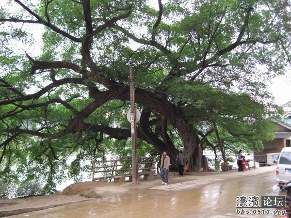 调整大小 照片 035.jpg