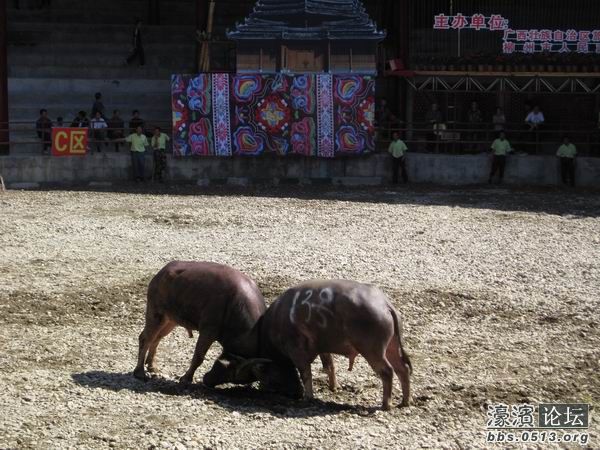 调整大小 照片 044.jpg