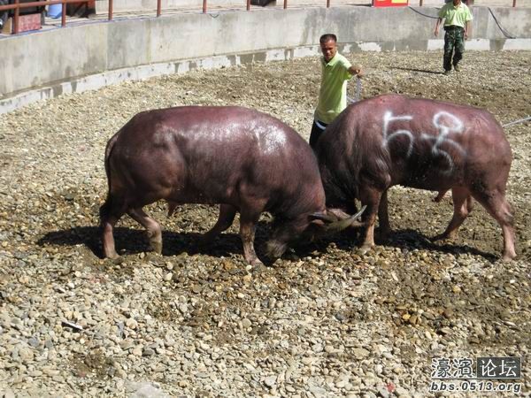 调整大小 照片 049.jpg