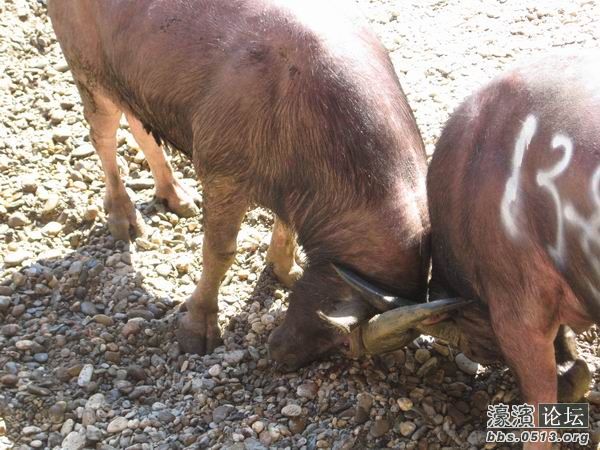 调整大小 照片 050.jpg