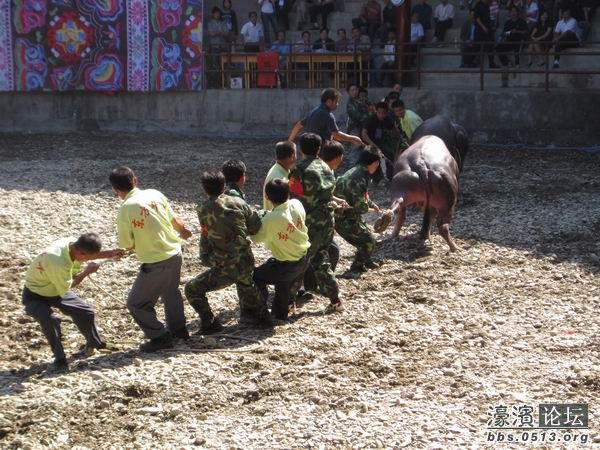 调整大小 照片 051.jpg