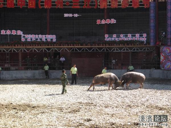 调整大小 照片 055.jpg