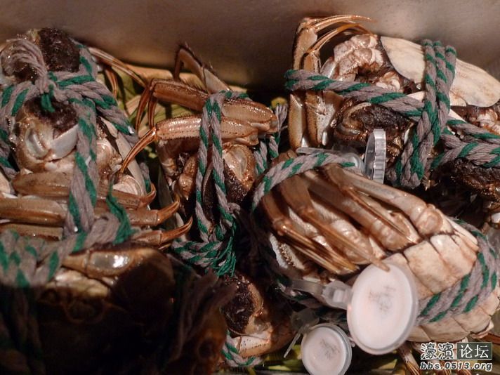 一个个都戴着戒指，大家都知道这个戒指不值钱啦~~~