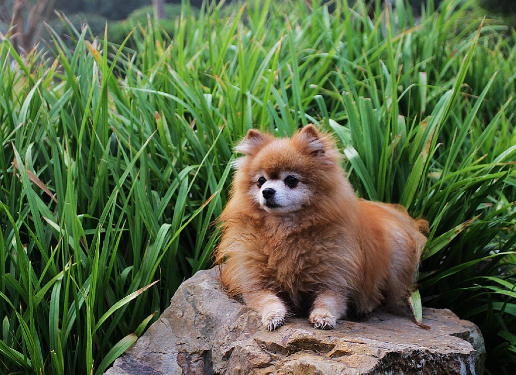 照片7D-1号 197.jpg