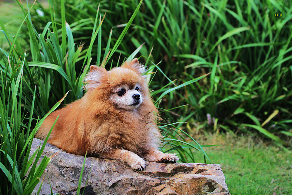 照片7D-1号 207.jpg