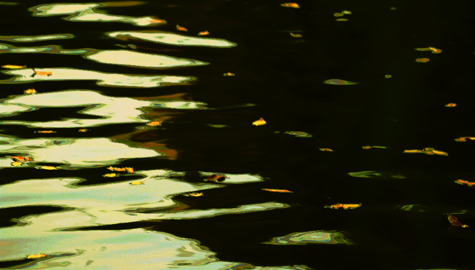 照片7D-1号 626.jpg