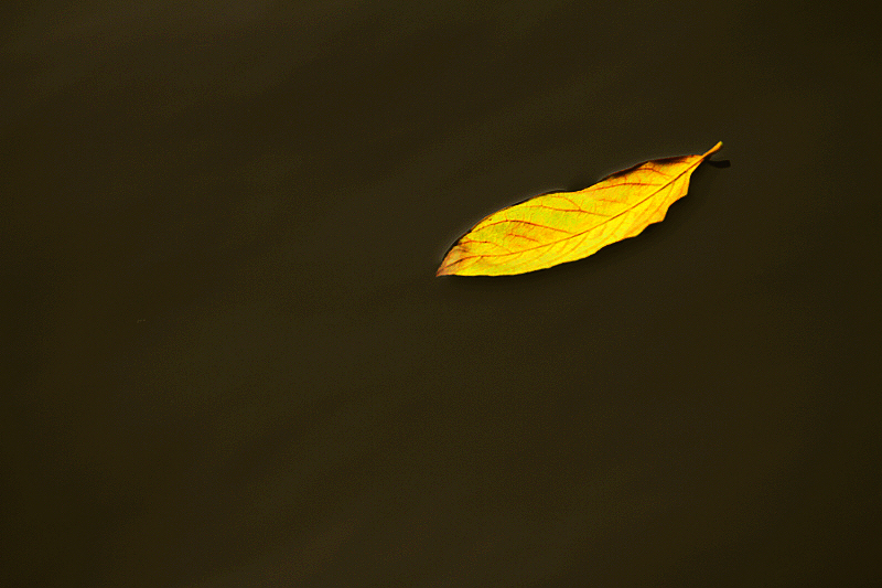 照片7D-1号 622.jpg