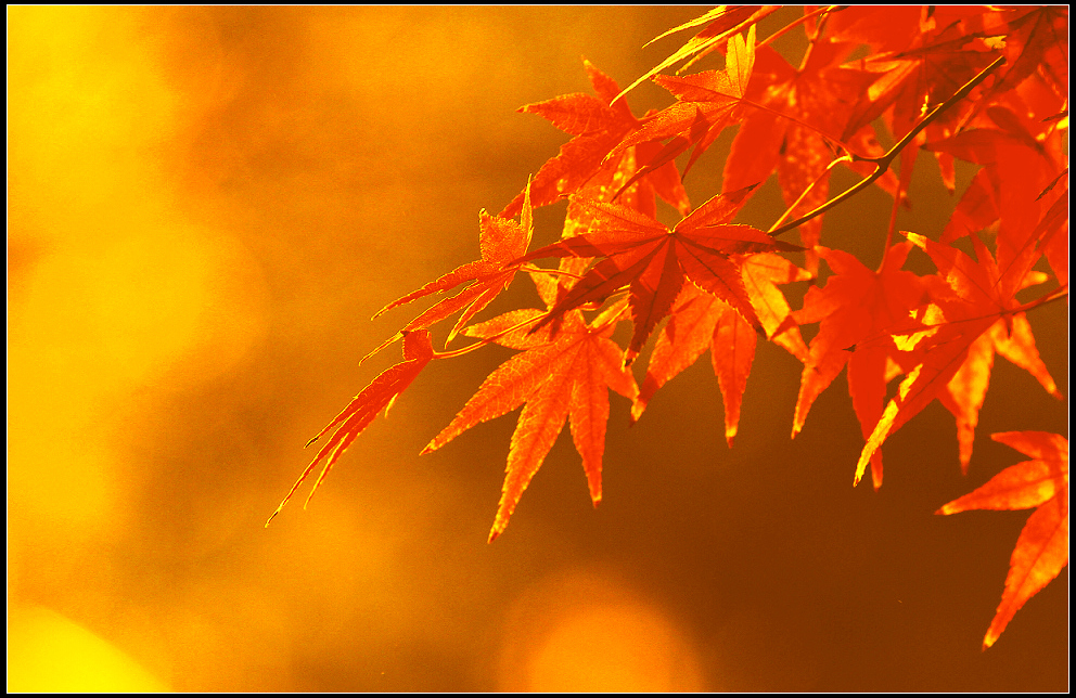 7D-12.1.-2 12.4 161.jpg