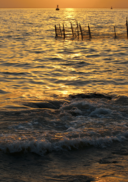 江边晚摄 (2).jpg