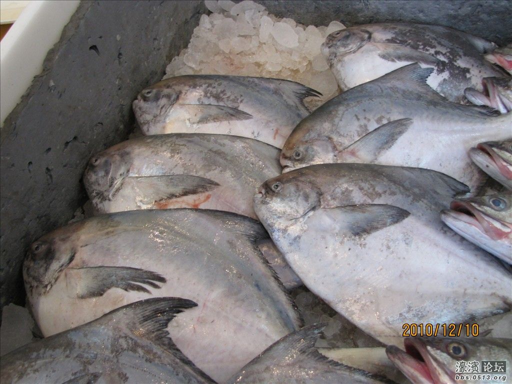 看看原料2。一KG的CB鱼