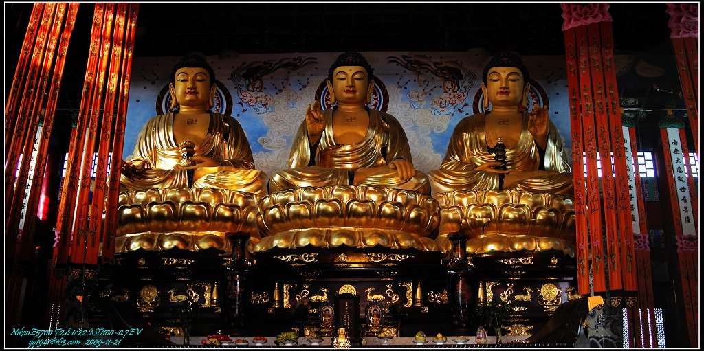 DSCN4364-南山大佛.jpg