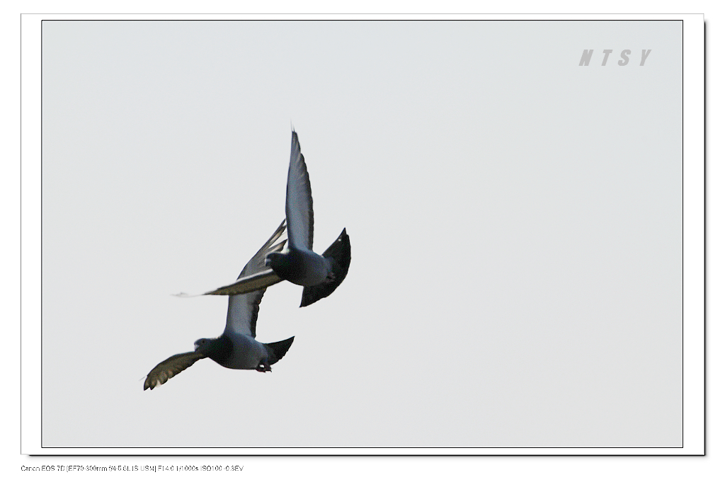 7D- 2011n1.16.lsnp-3dc 076.jpg