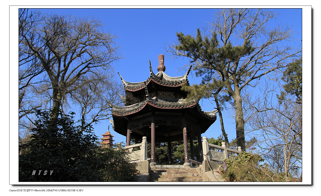 7D- 2011n1.16.lsnp-3dc 017.jpg