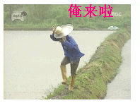 俺来啦.GIF