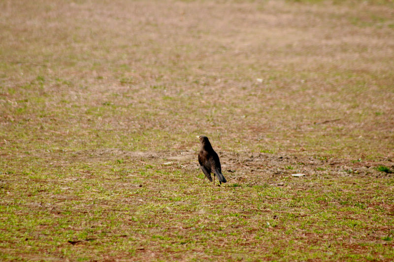 1、我寻寻觅觅一个温暖的怀抱，这样的要求算不算太高？