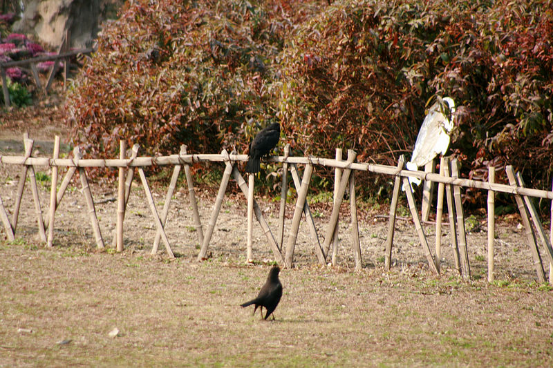 5、宝贝你好吗？愿意做我的女朋友吗？