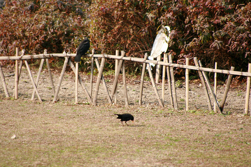 6、你好矜持，我也不能太性急，装出漫不经心的样子潜行。