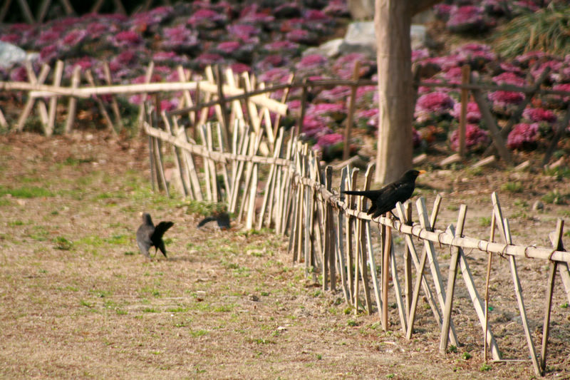 8、羞死人了，人家还小，现在还不想谈恋爱。