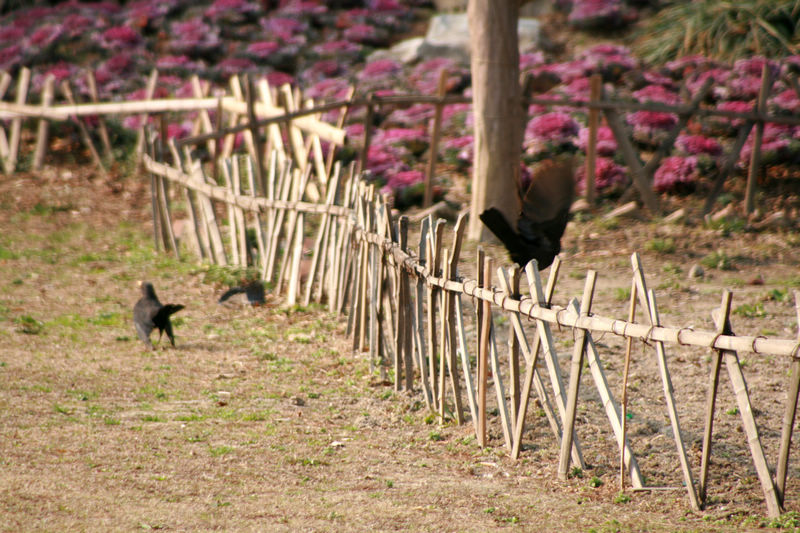 9、哼，装什么清纯，走就走，有啥了不起的，我也闪了。