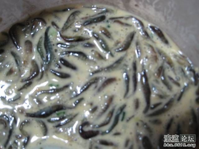 调整大小 照片 005.jpg