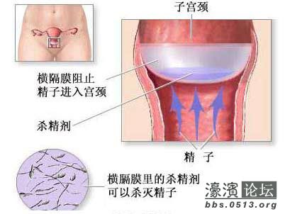 092346rl2a2cd85ofdomdd.jpg