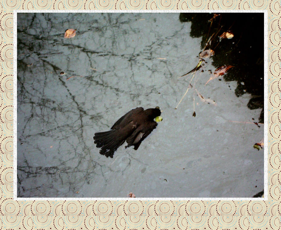 2、尘归尘，土归土