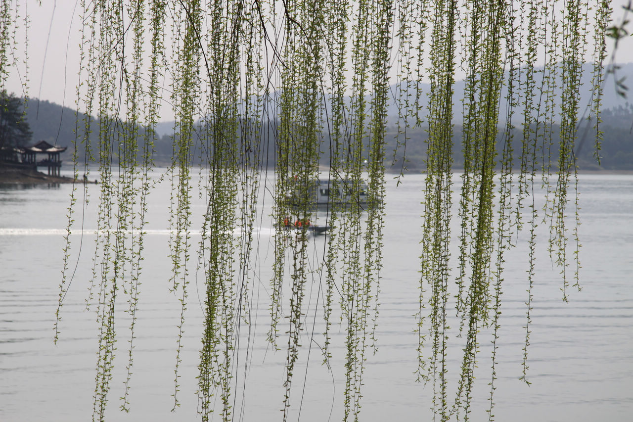 常州游记 073.jpg