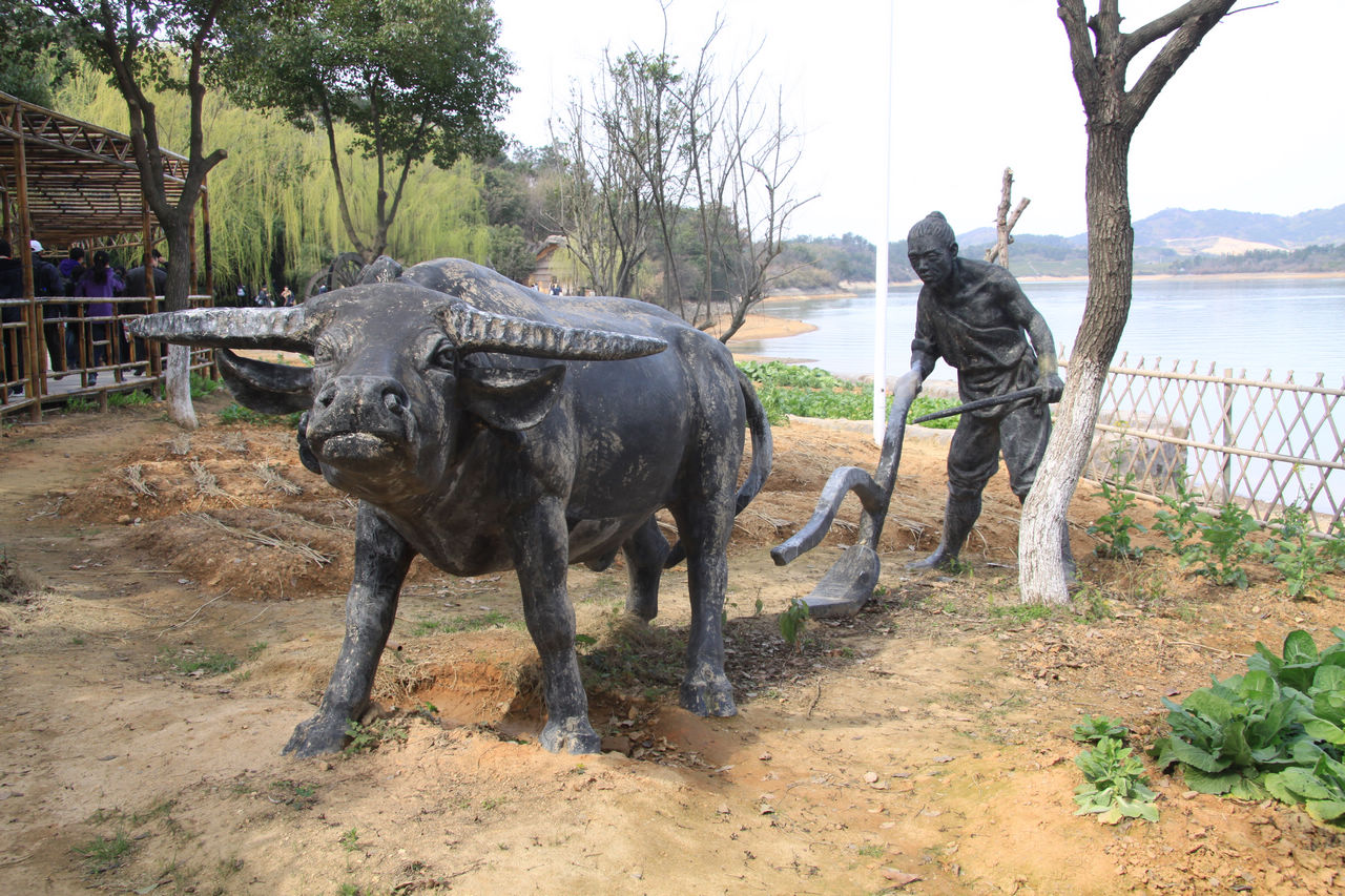 常州游记 105.jpg