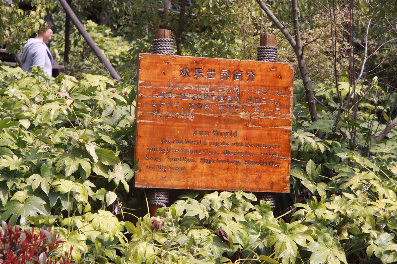 常州游记 220.jpg