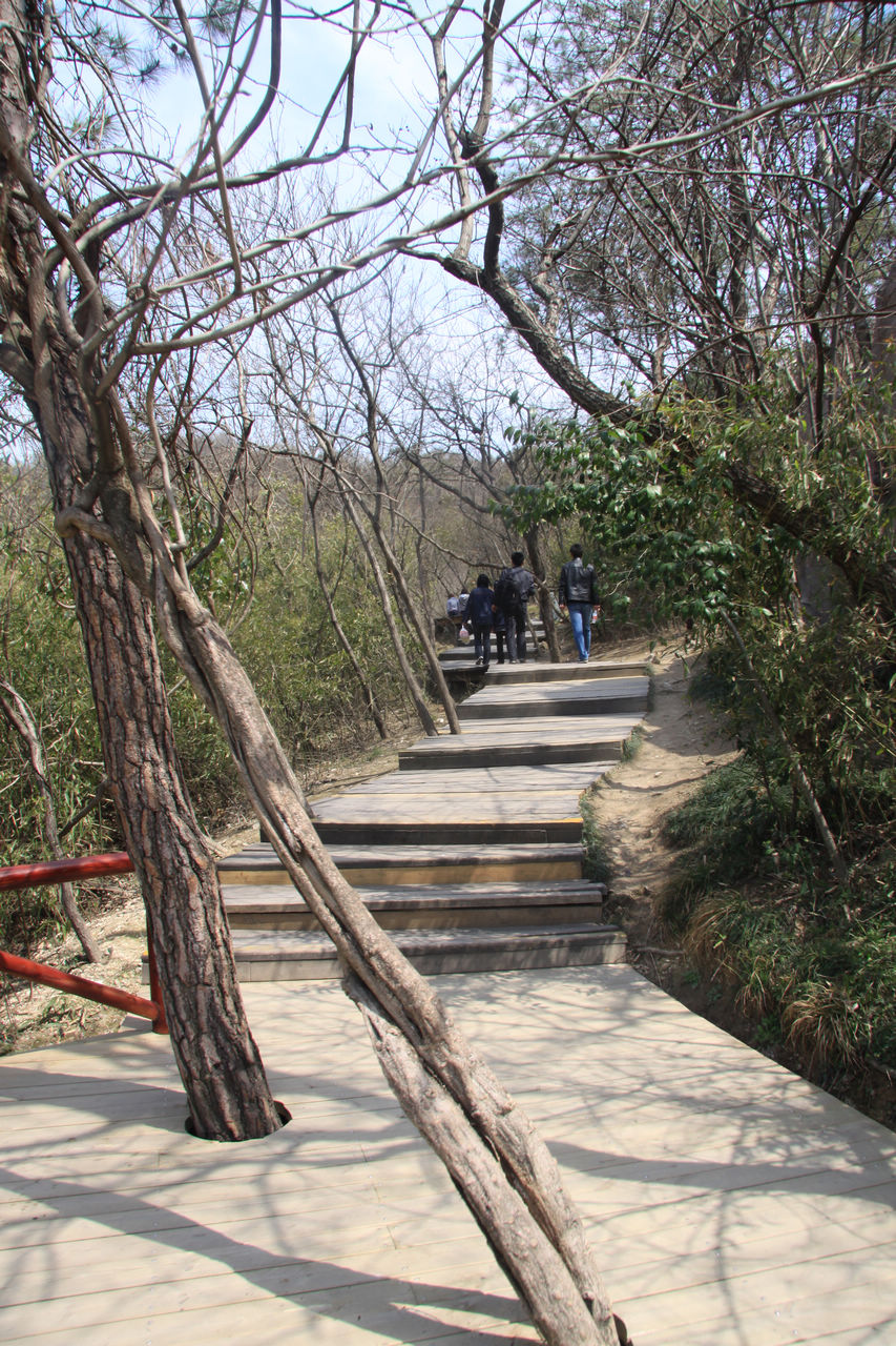 常州游记 323.jpg