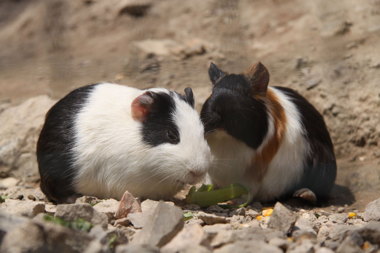 常州游记 337.jpg