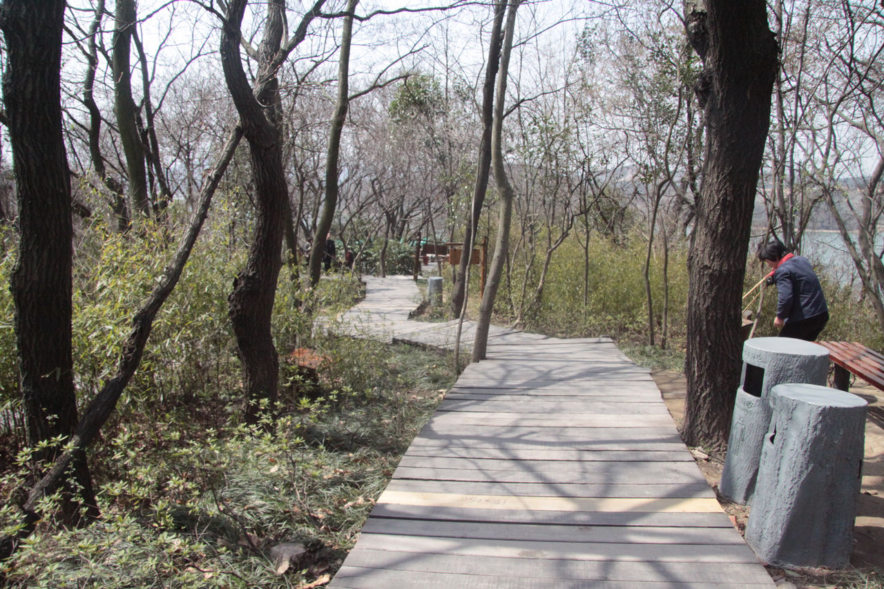 常州游记 370.jpg