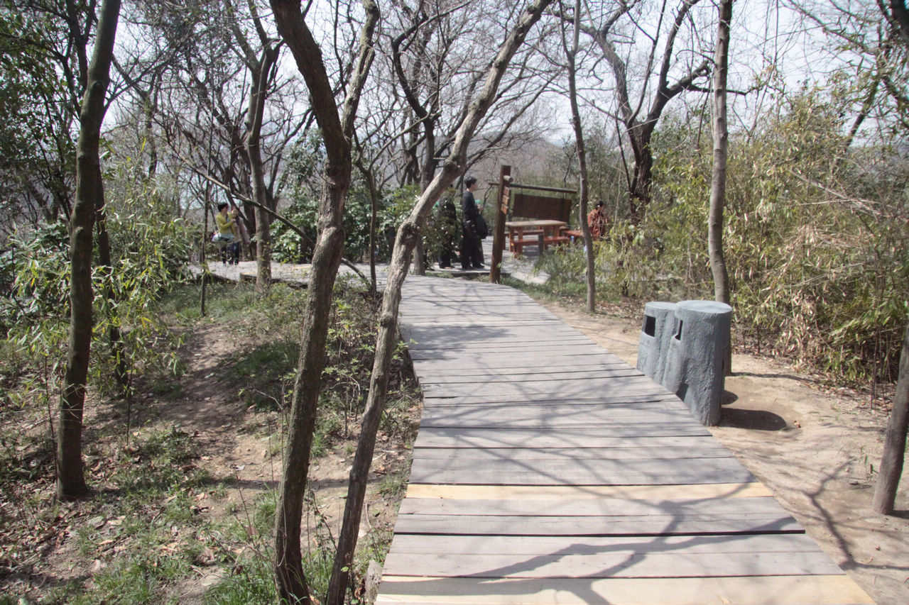 常州游记 371.jpg