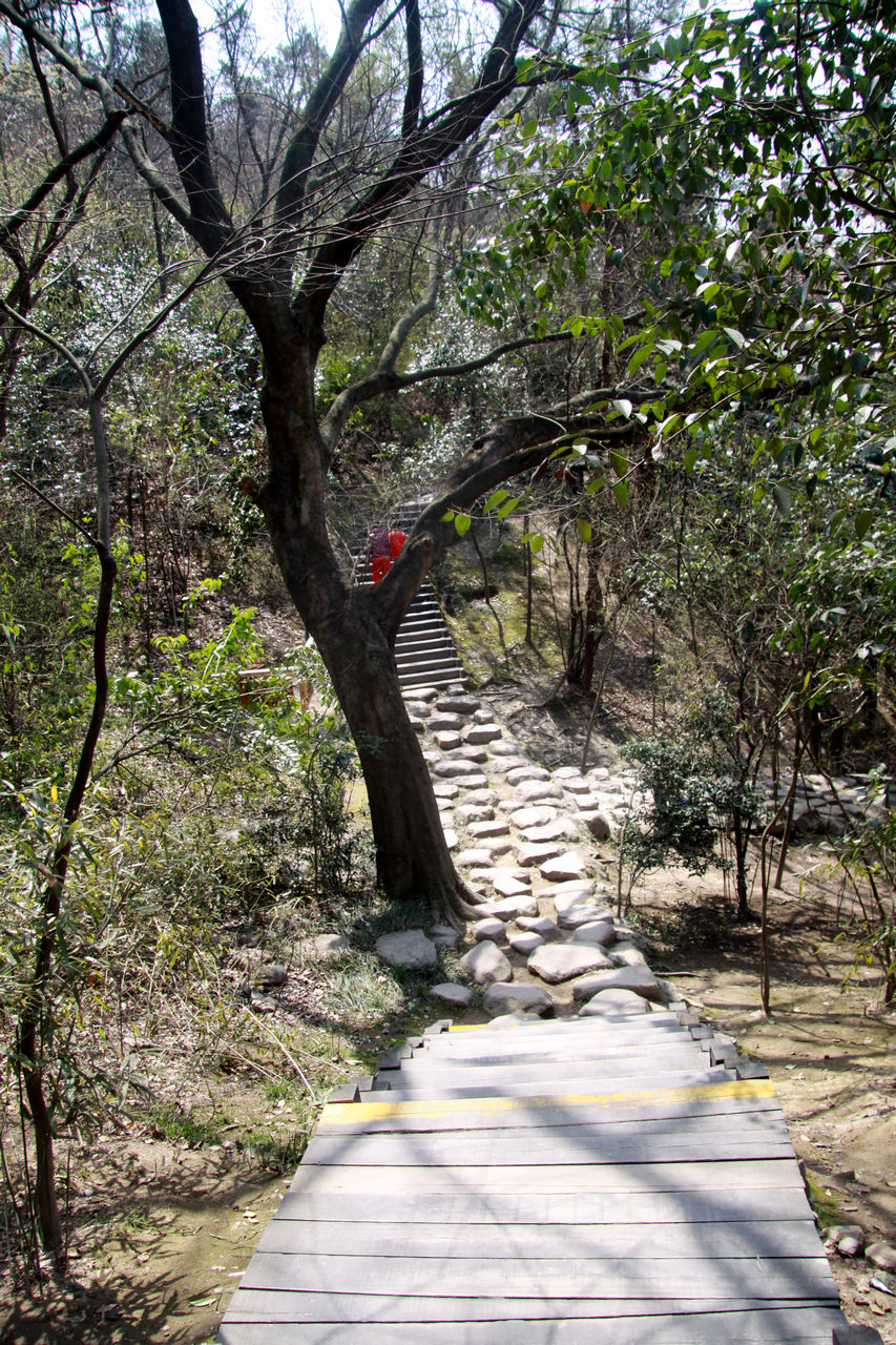 常州游记 394.jpg