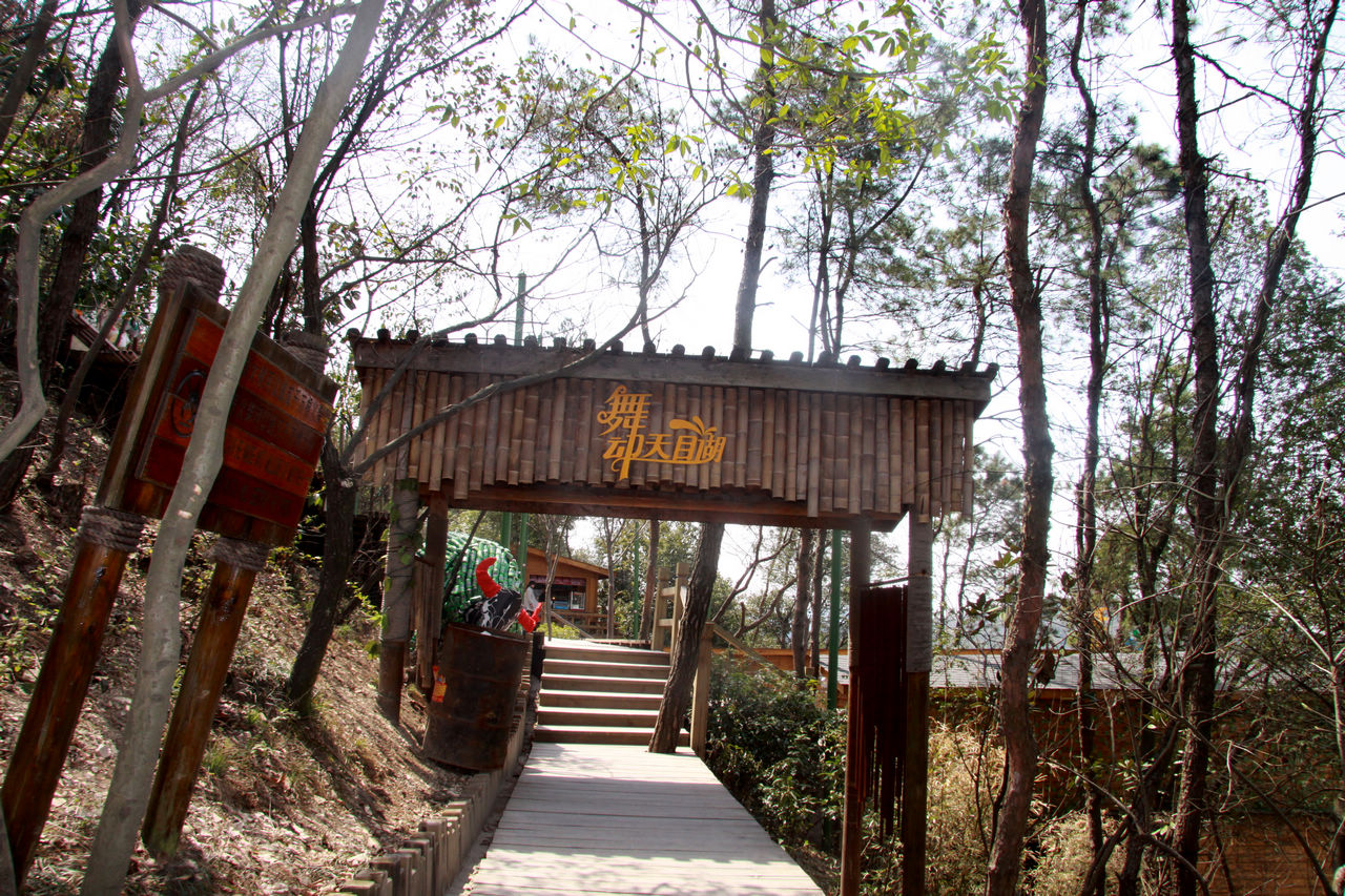 常州游记 400.jpg