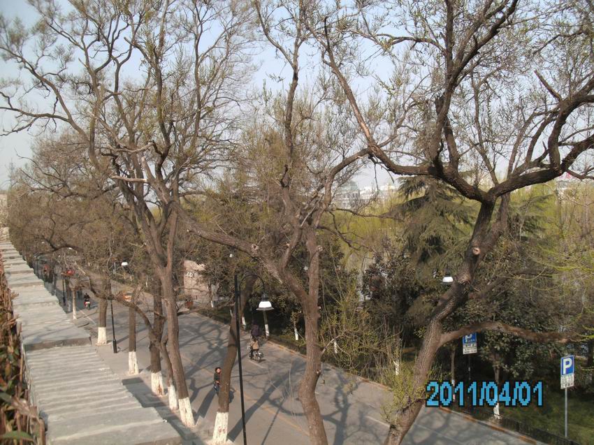 调整大小 IMG_0096.JPG