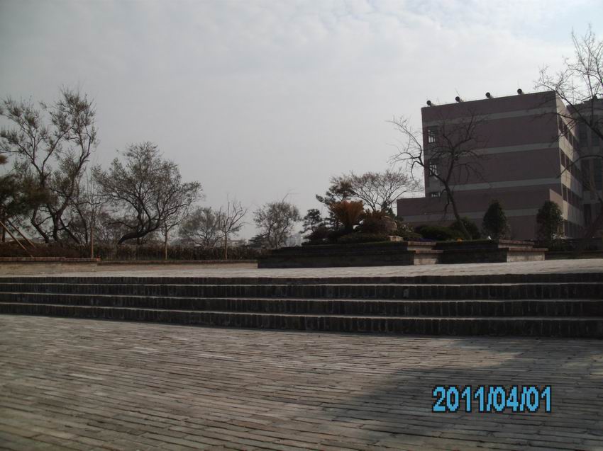 调整大小 IMG_0098.JPG