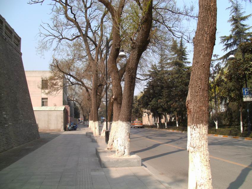 调整大小 IMG_0100.JPG