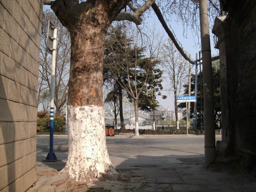 调整大小 IMG_0108.JPG