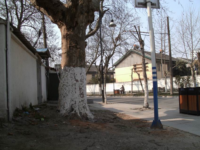 调整大小 IMG_0109.JPG