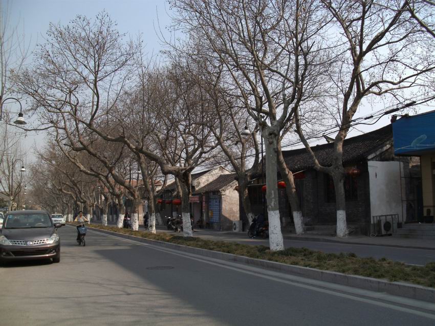 调整大小 IMG_0110.JPG