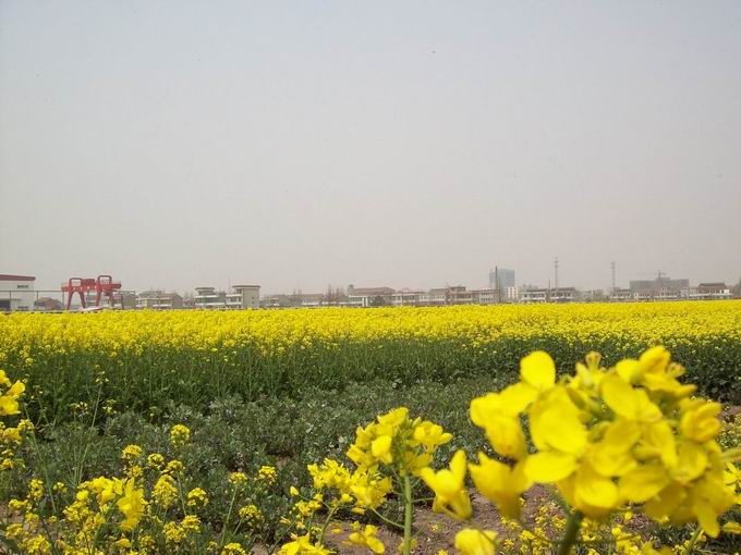 调整大小 100_5098.jpg