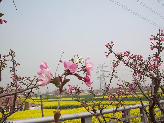 调整大小 100_5101.jpg