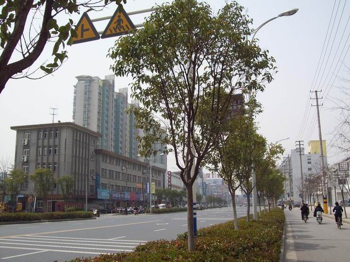 调整大小 100_5107.jpg