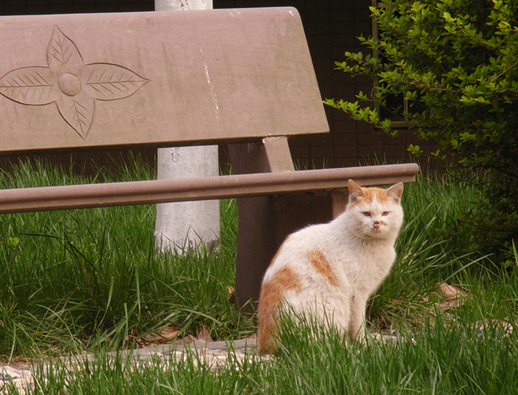 15：静静的守望