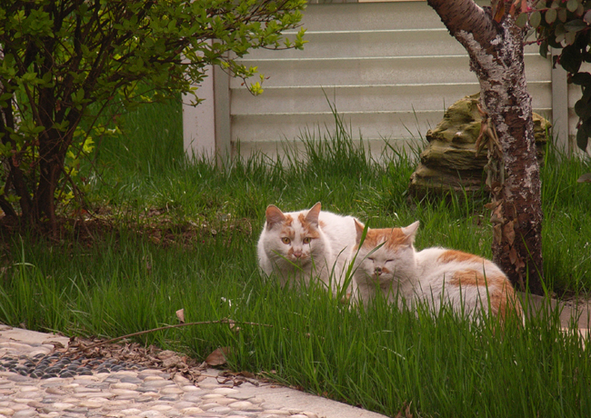 10：有了爱，才有甜蜜……